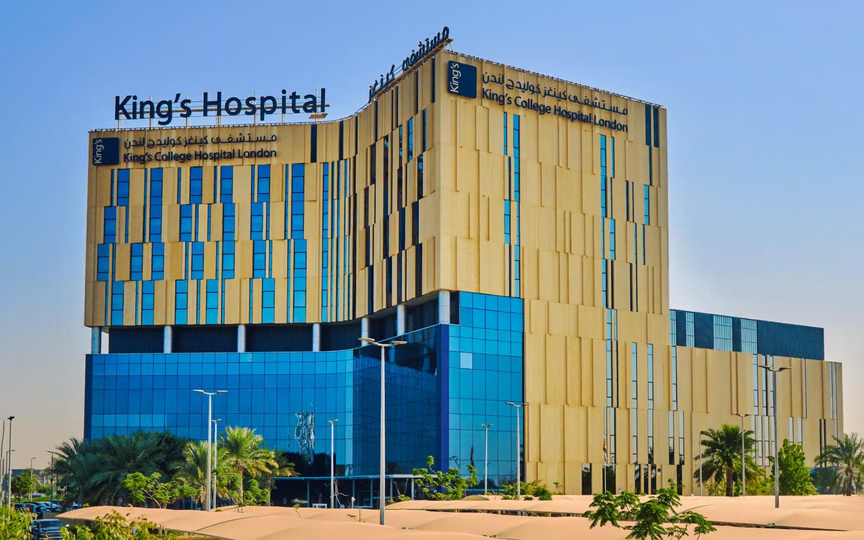 Dubai Healthcare Guide: Top Hospitals & Clinics - 20 February 2026 - 3