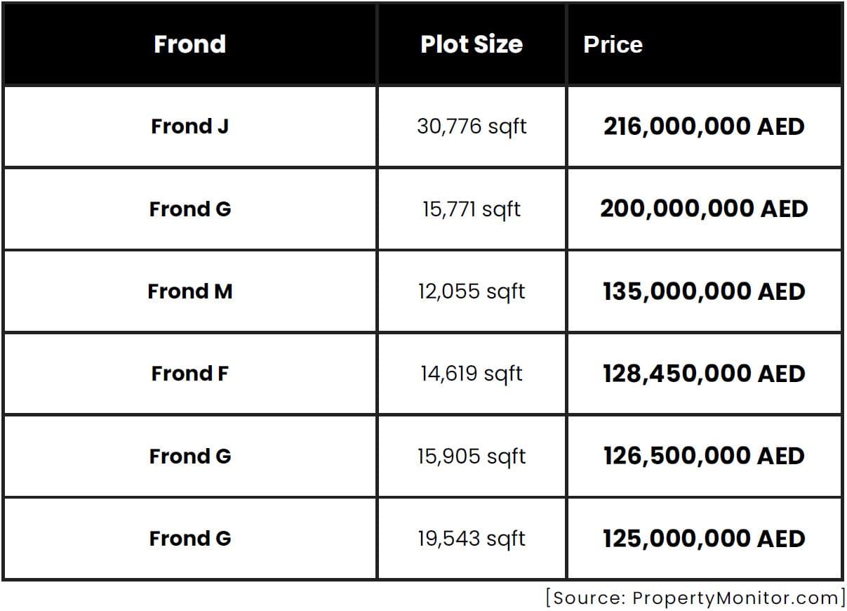 Palm Jumeirah Market Report 2024 by LuxuryProperty.com - 5 February 2025 - 24