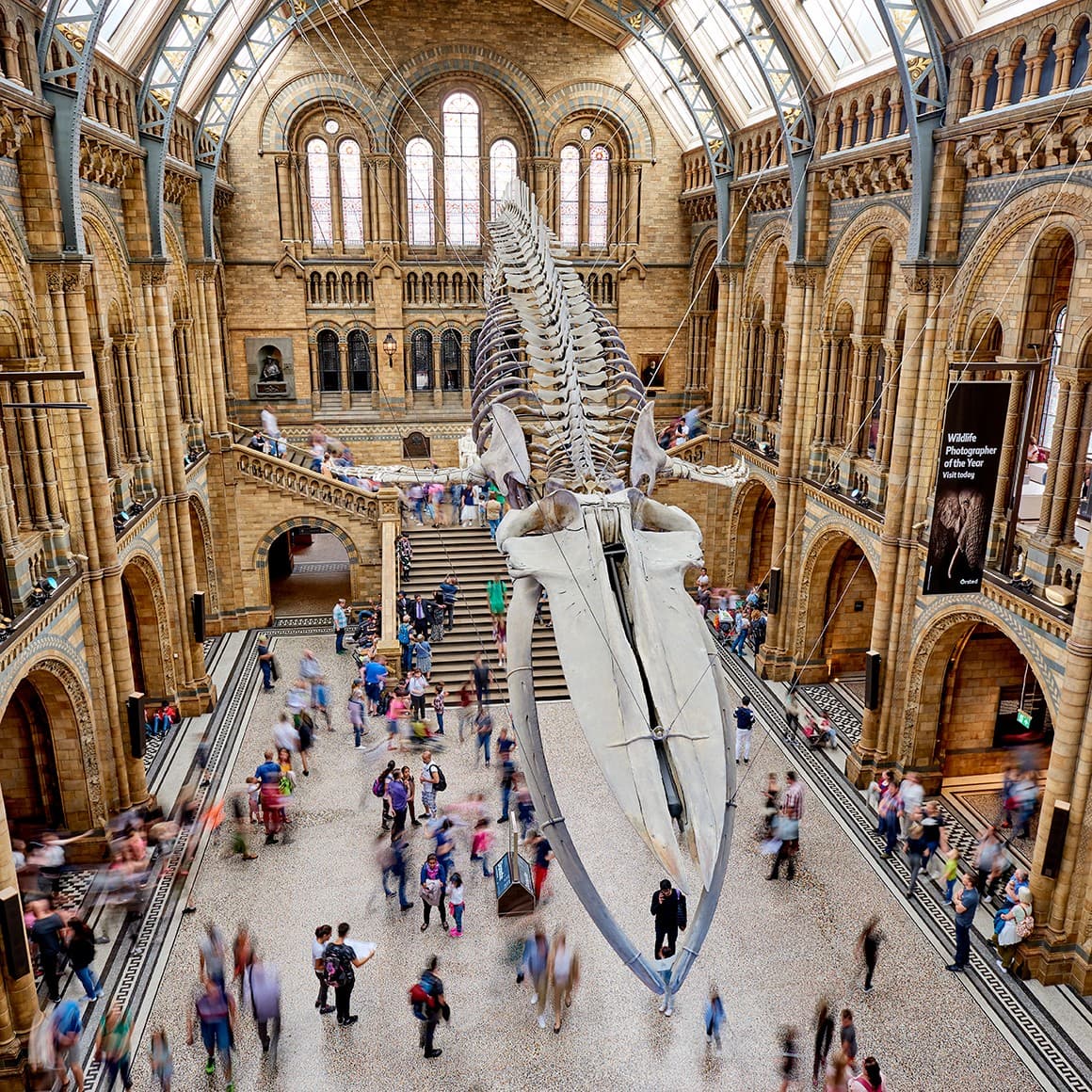 Natural History Museum - London
