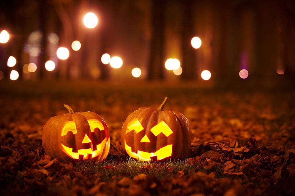 Palm Trees & Pumpkins