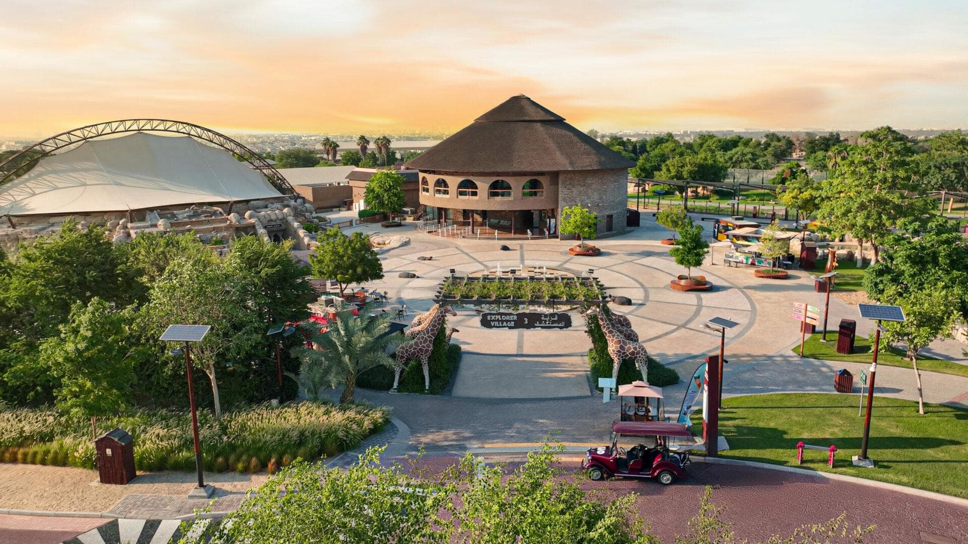 Roar & Explore: Safari Parks - 10 October 2025 - 5