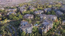 Discovering Serenity: A Journey Through Ghaf Woods at Tilal Al Ghaf
