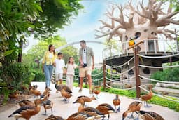Roar & Explore: Safari Parks