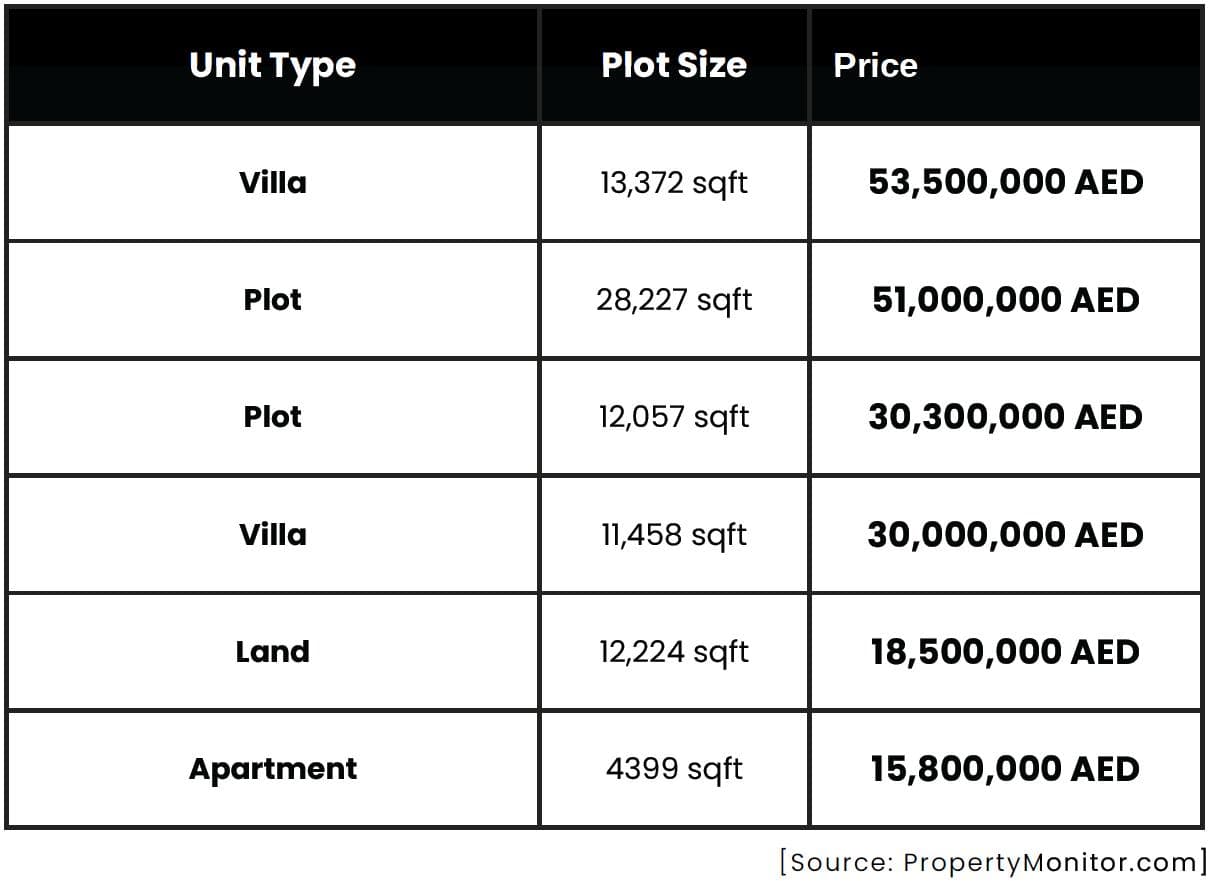 Pearl Jumeirah Market Report 2024 by LuxuryProperty.com - 11 February 2025 - 27