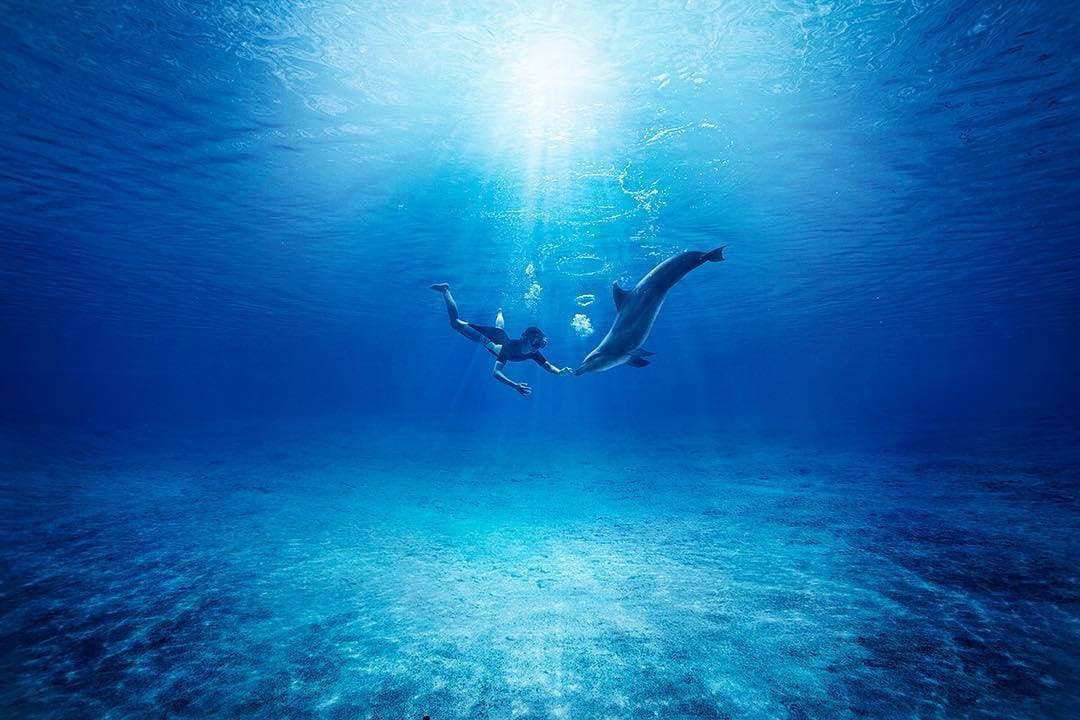 Atlantis_Dolphin_Bay