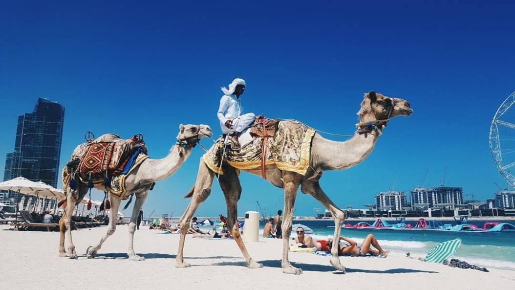 Camel_Ride_on_JBR_Beach