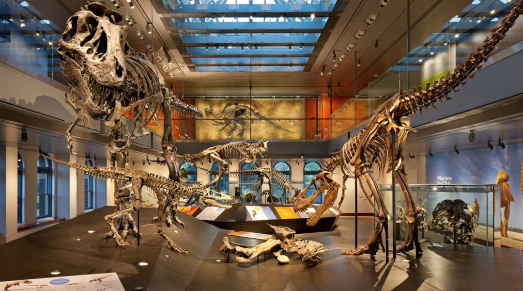 Natural History Museum Of Los Angeles