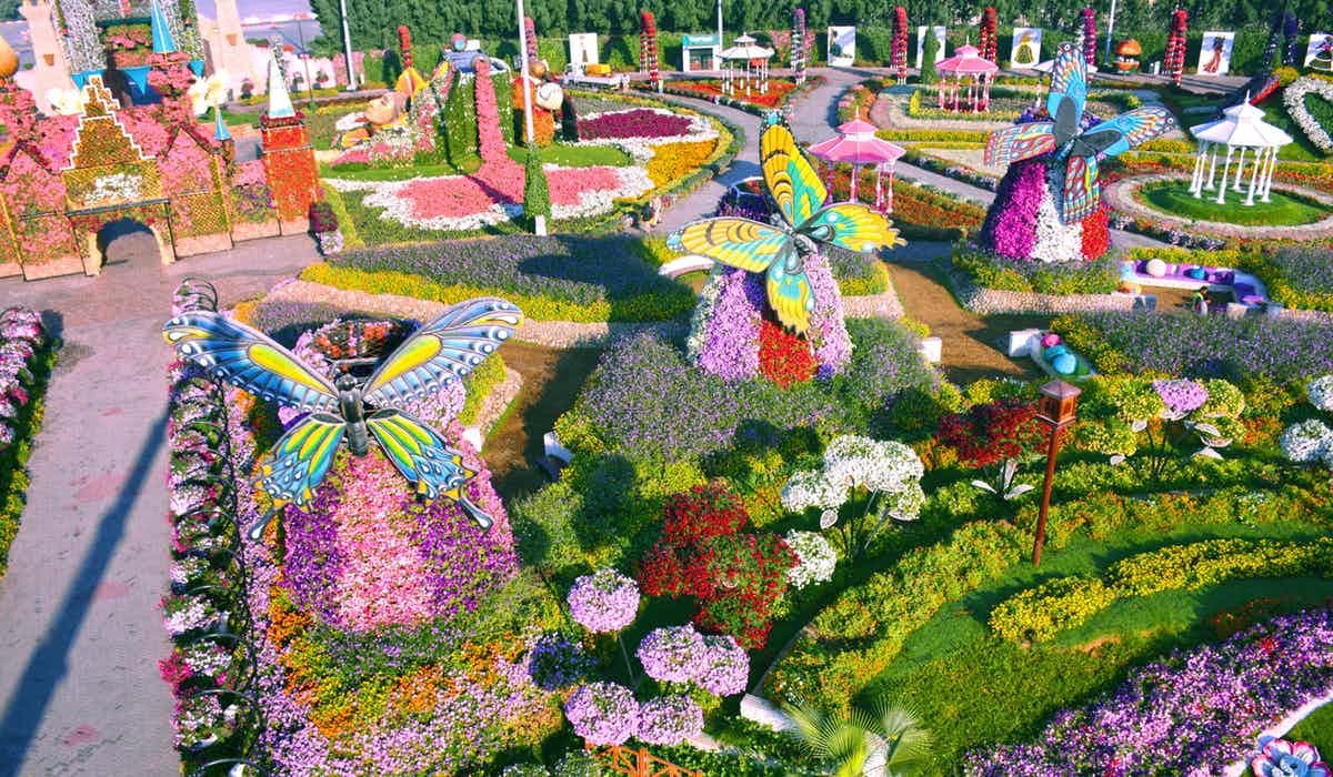 Dubai Butterfly Garden