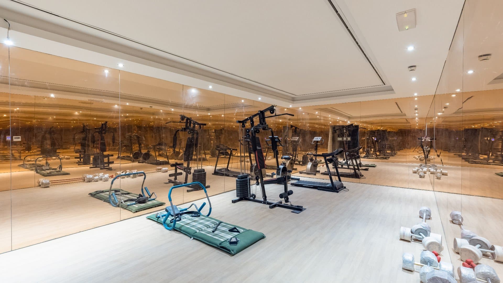 Home Gym 2