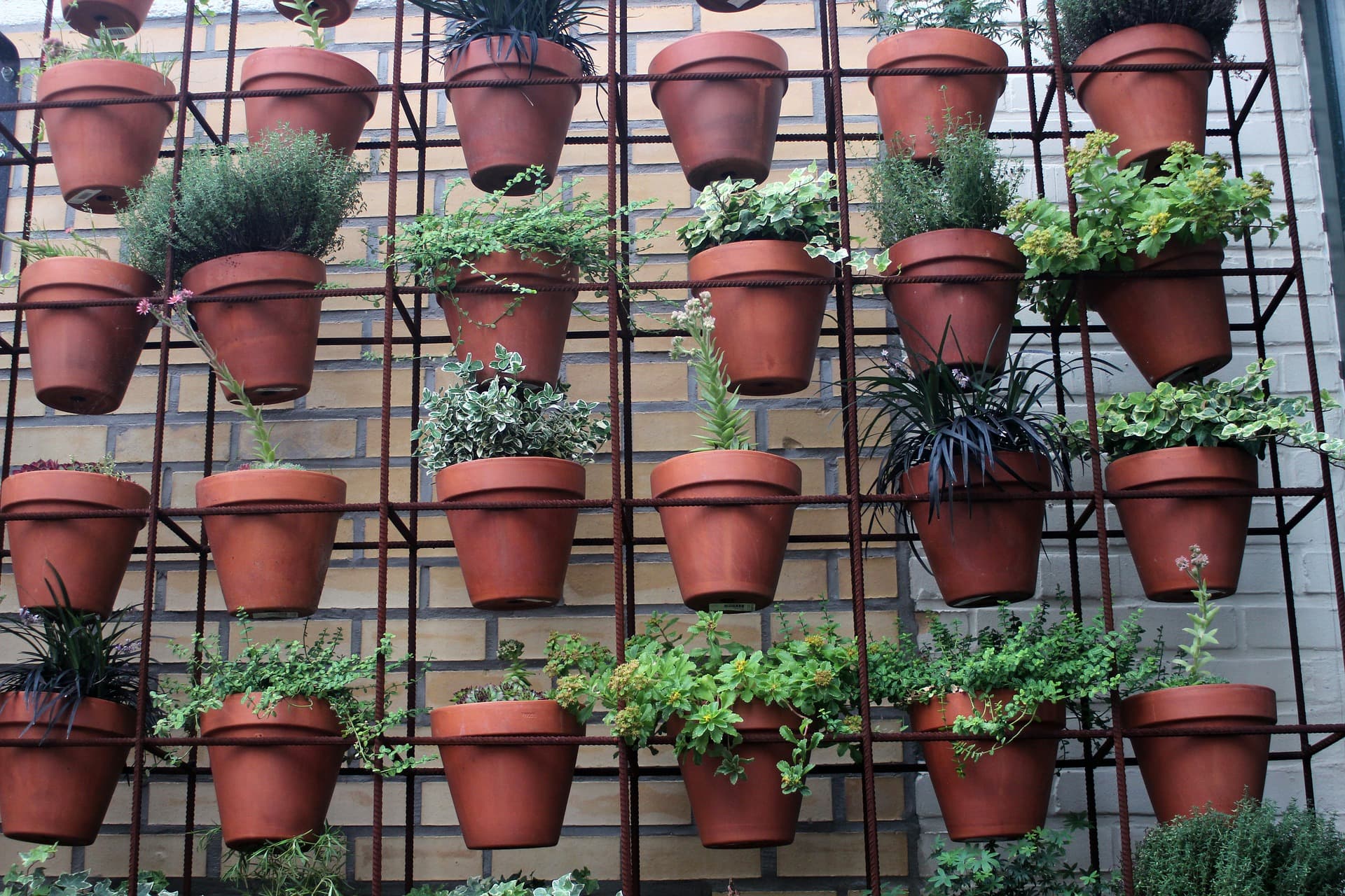 Green Walls