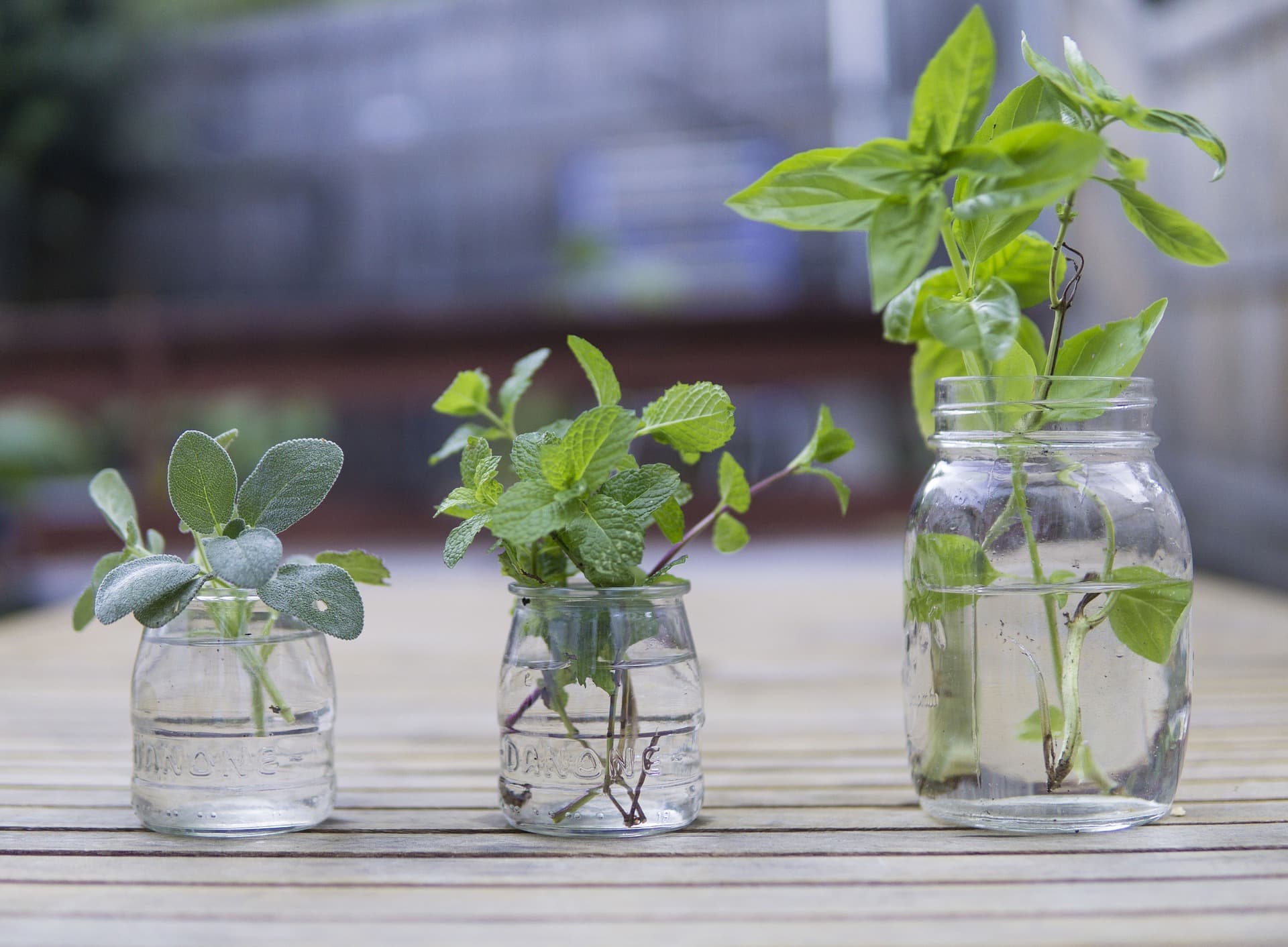 Herb Gardens