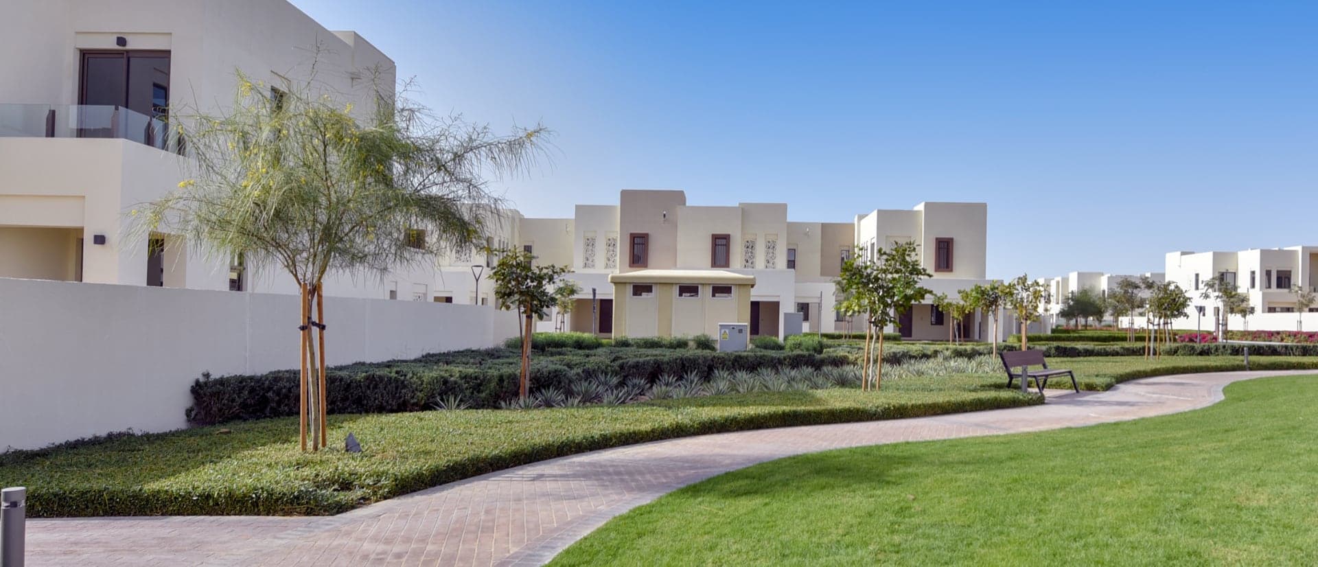 Community Spotlight: Mira Oasis