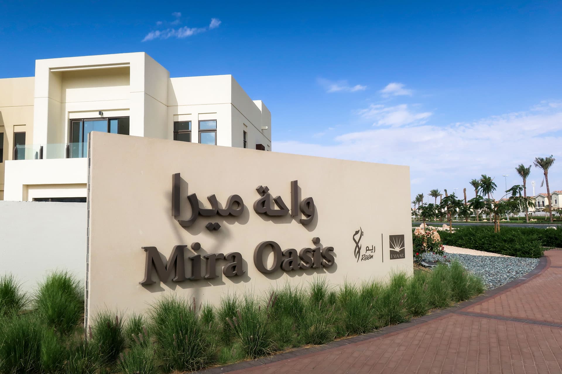 Community Spotlight: Mira Oasis