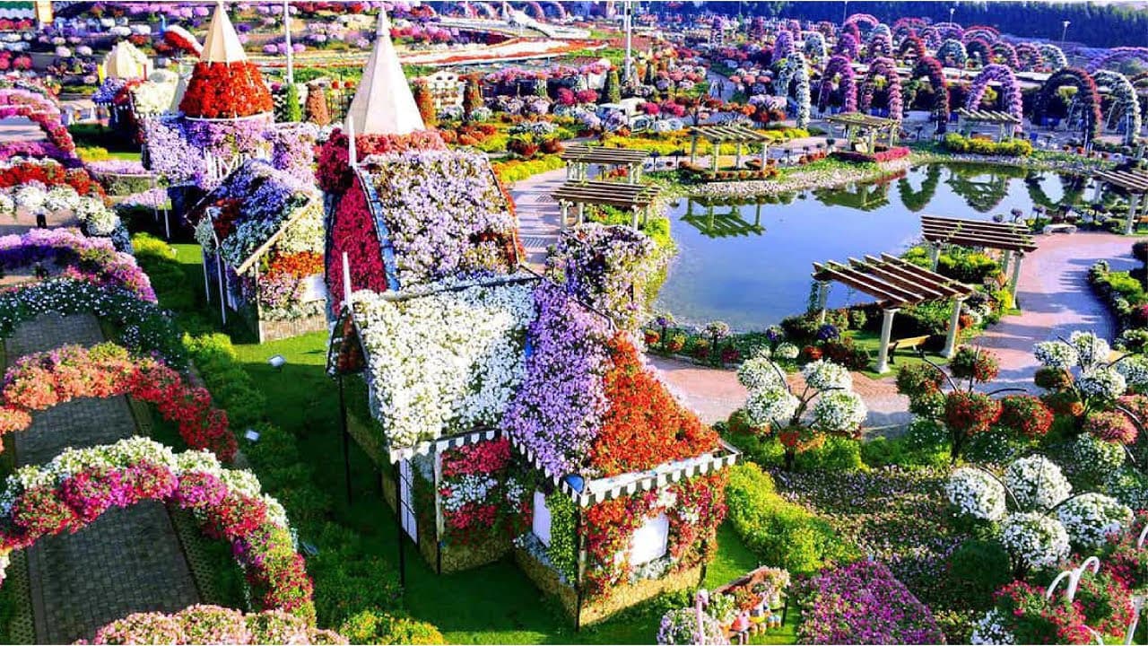Visit the Miracle Garden