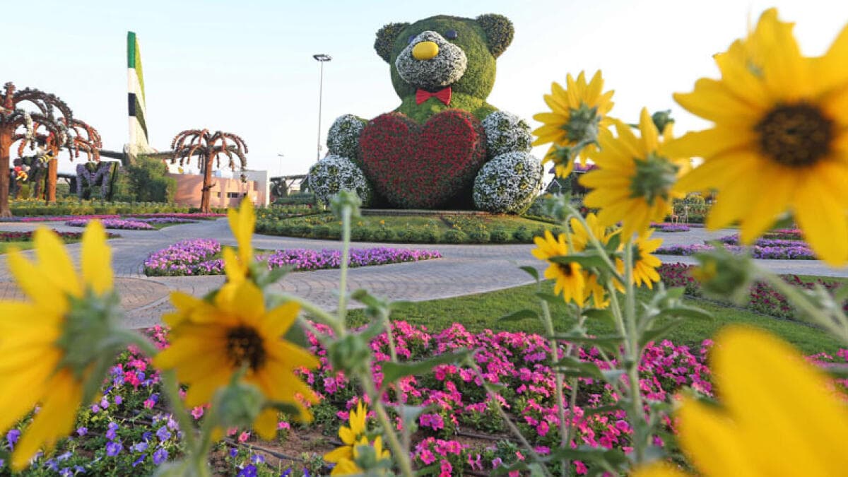 A Tourist Guide To Dubai Miracle Garden - 14 June 2024 - 16