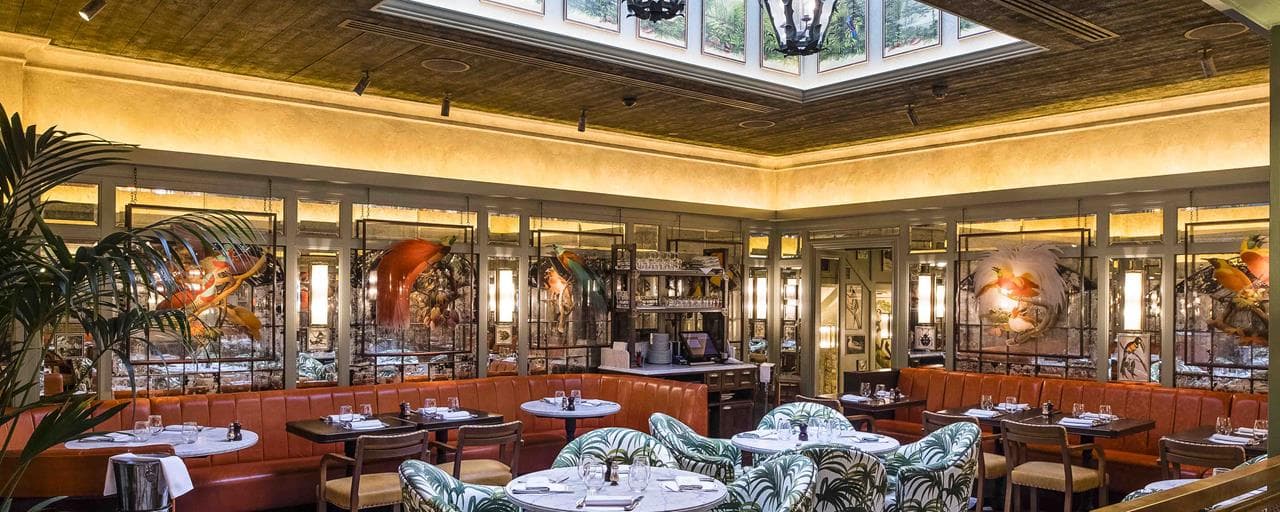 The Ivy St Johns Wood