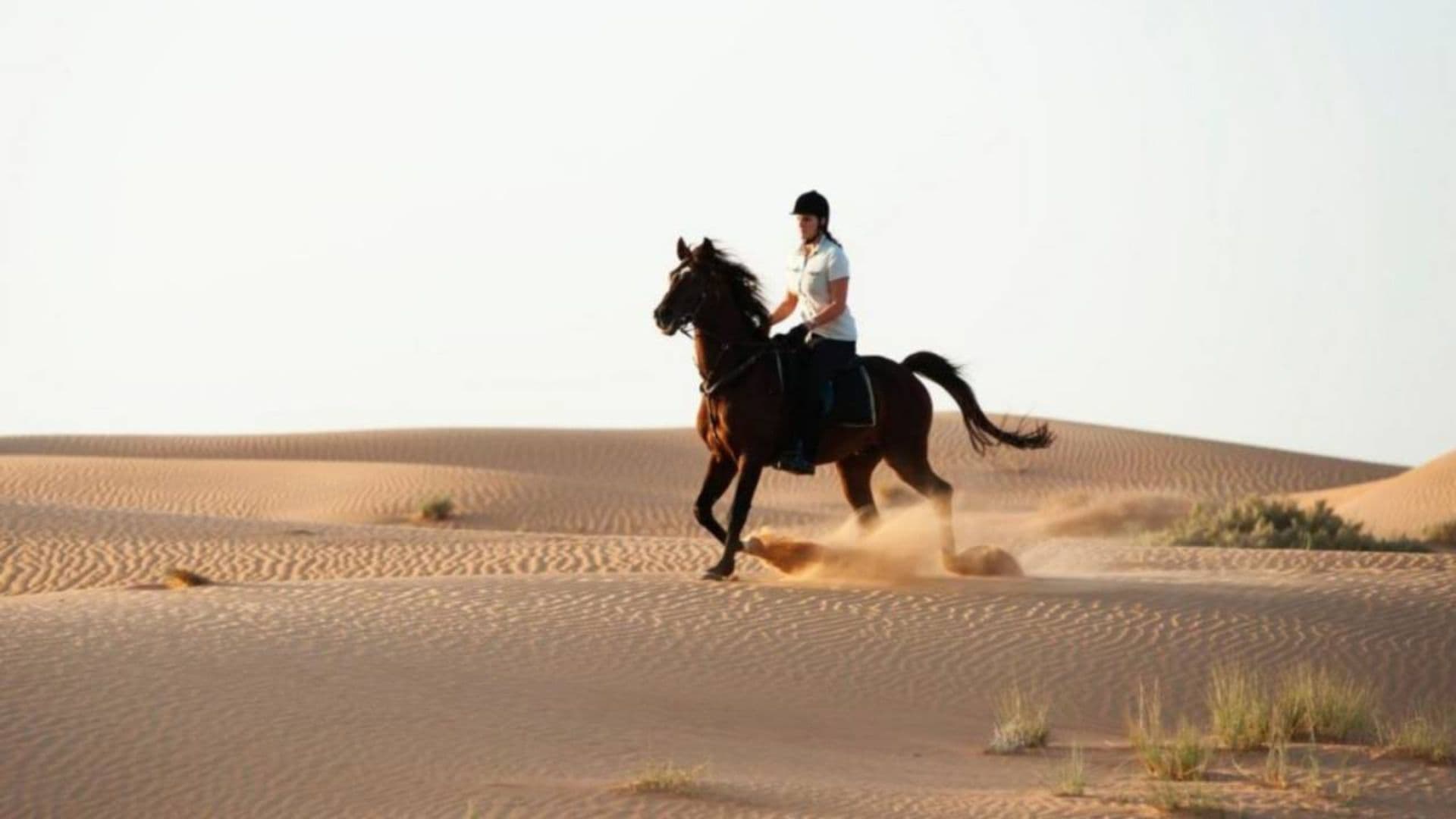 Be a Bedouin and Enjoy Desert Safari in Dubai - 29 October 2024 - 22
