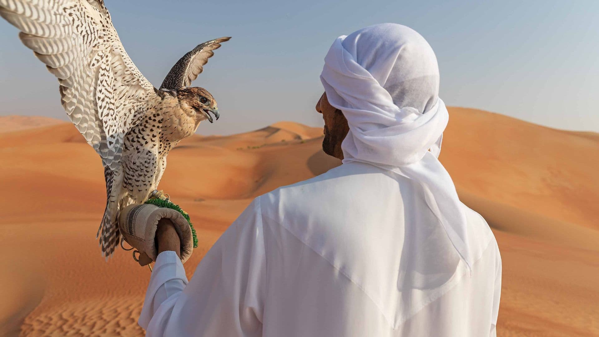 Be a Bedouin and Enjoy Desert Safari in Dubai - 29 October 2024 - 19