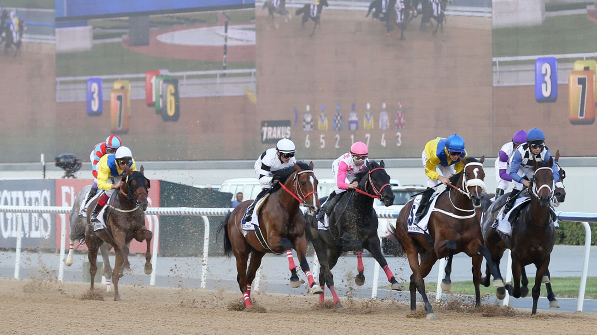 Dubai World Cup 2023  Meydan - 14 June 2024 - 6