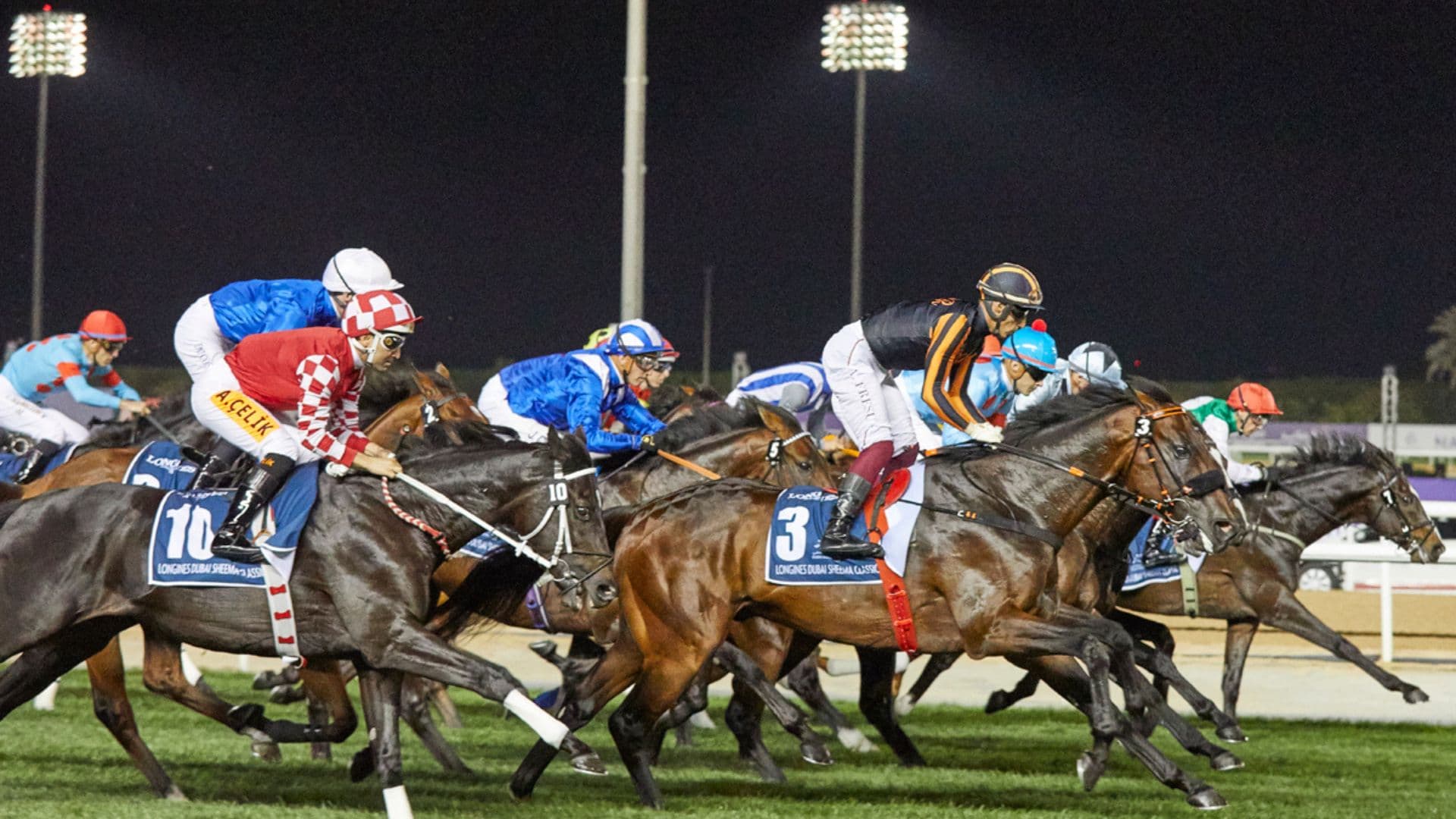 Dubai World Cup 2023  Meydan - 14 June 2024 - 17