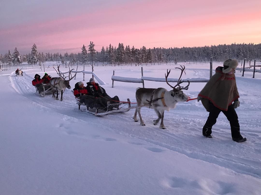 Winter_Safari_in_Finland