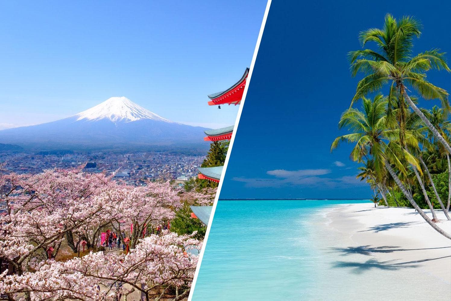 Effortless UAE Travel Destinations