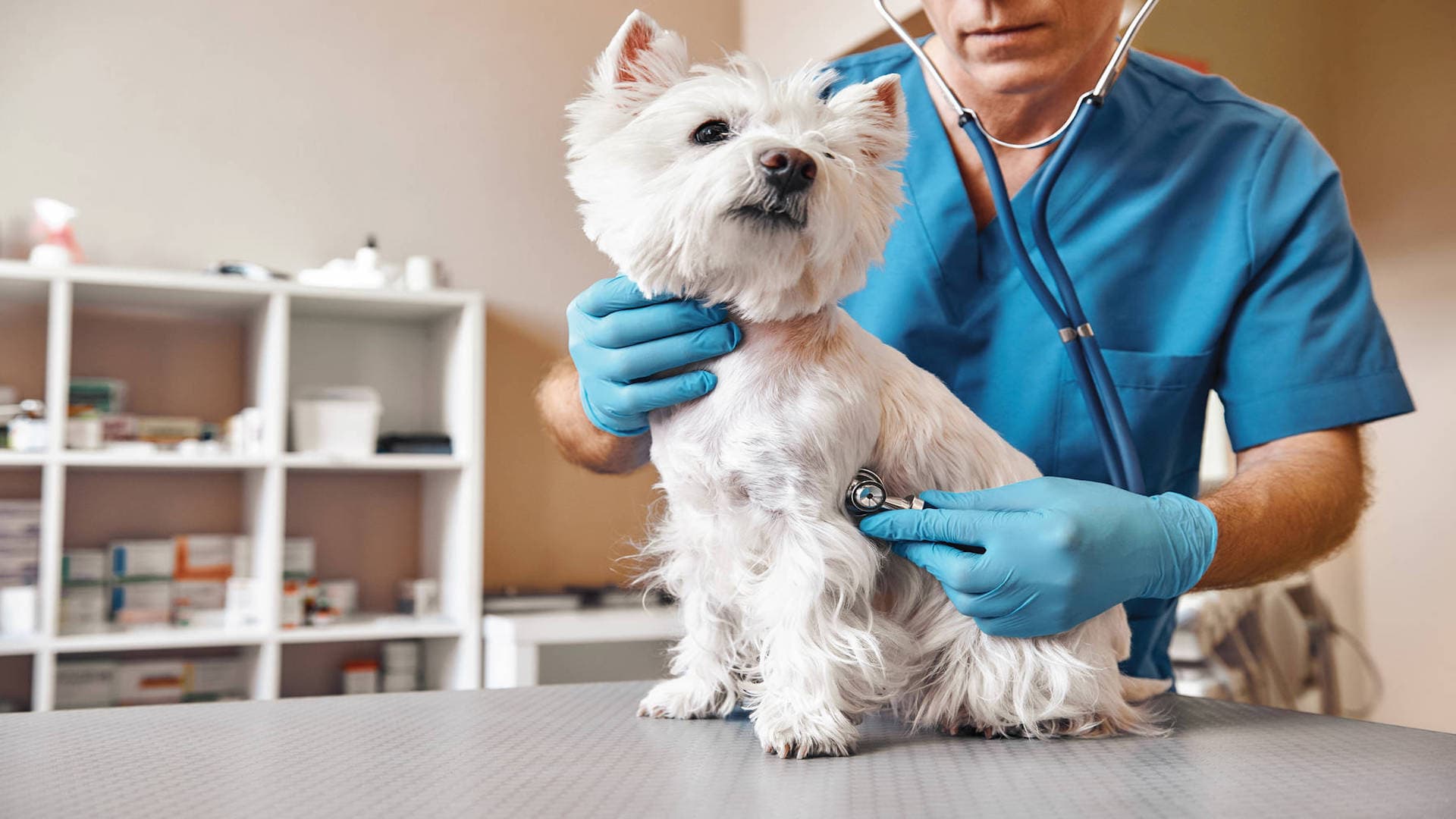Noble Vet