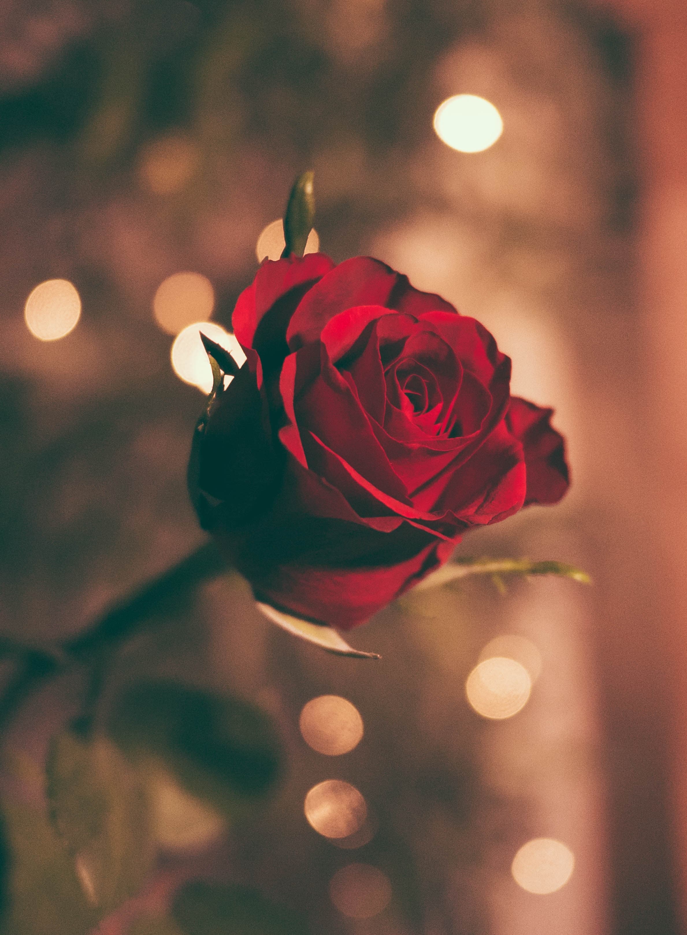 Best Romantic Places In Dubai to Impress Your Valentine