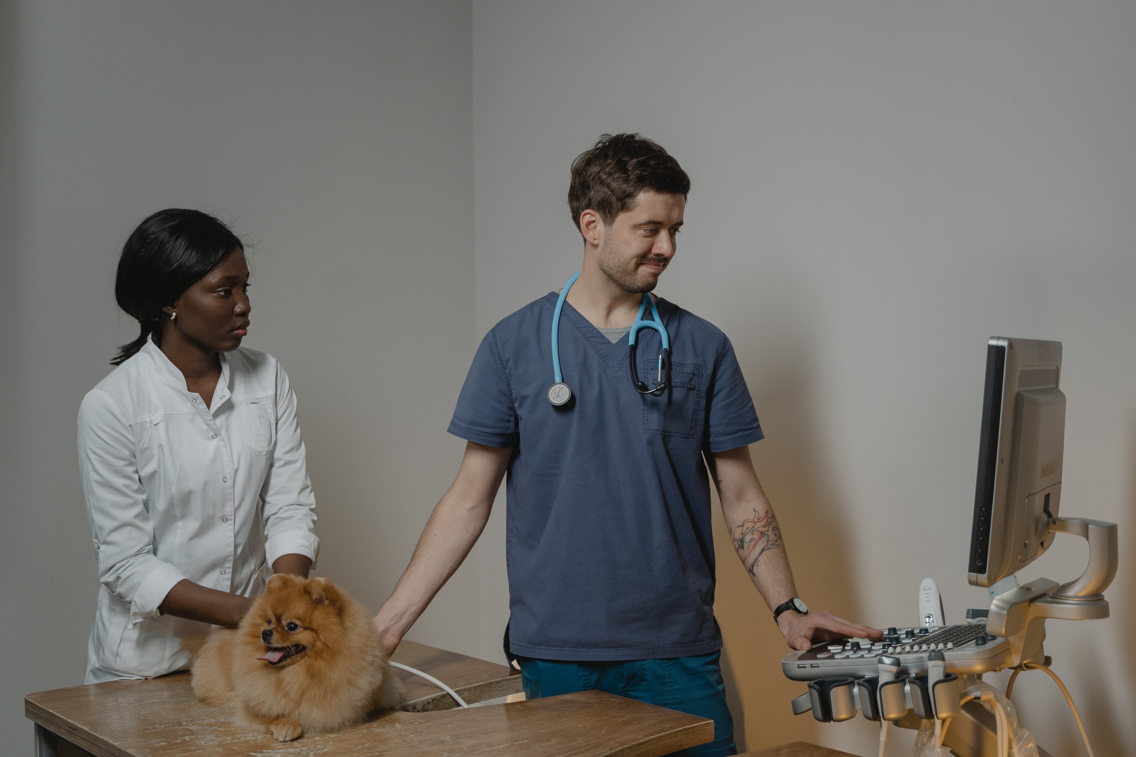 6 of Dubai's Best Veterinary Clinics