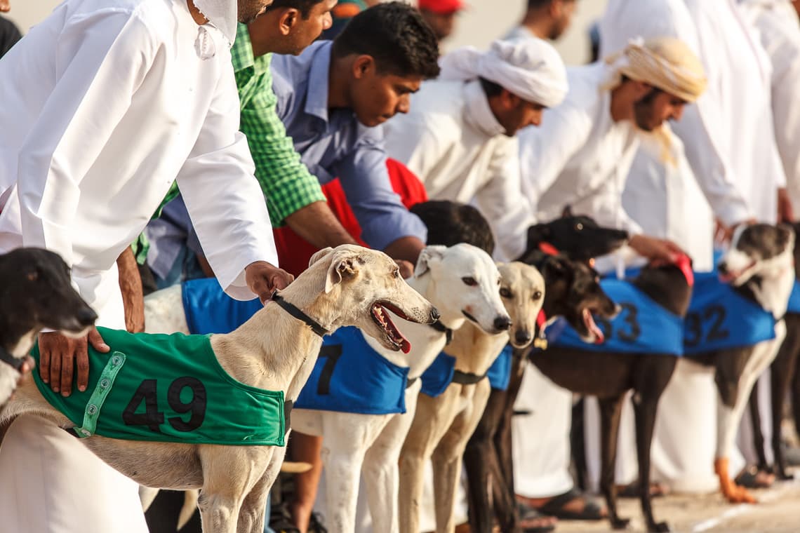 For the Love of Dogs Top Seven Dog Friendly Places in Dubai