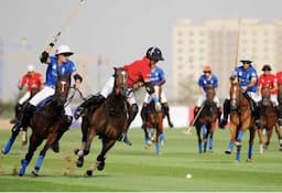 Best Areas in Dubai to Enjoy Polo Season