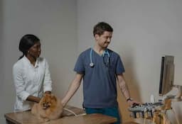 6 of Dubai's Best Veterinary Clinics