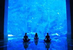 Underwater Yoga in The Lost Chambers Aquarium, Atlantis The Palm