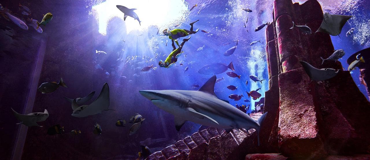 Atlantis_Lost_Chambers_Aquarium_Dubai