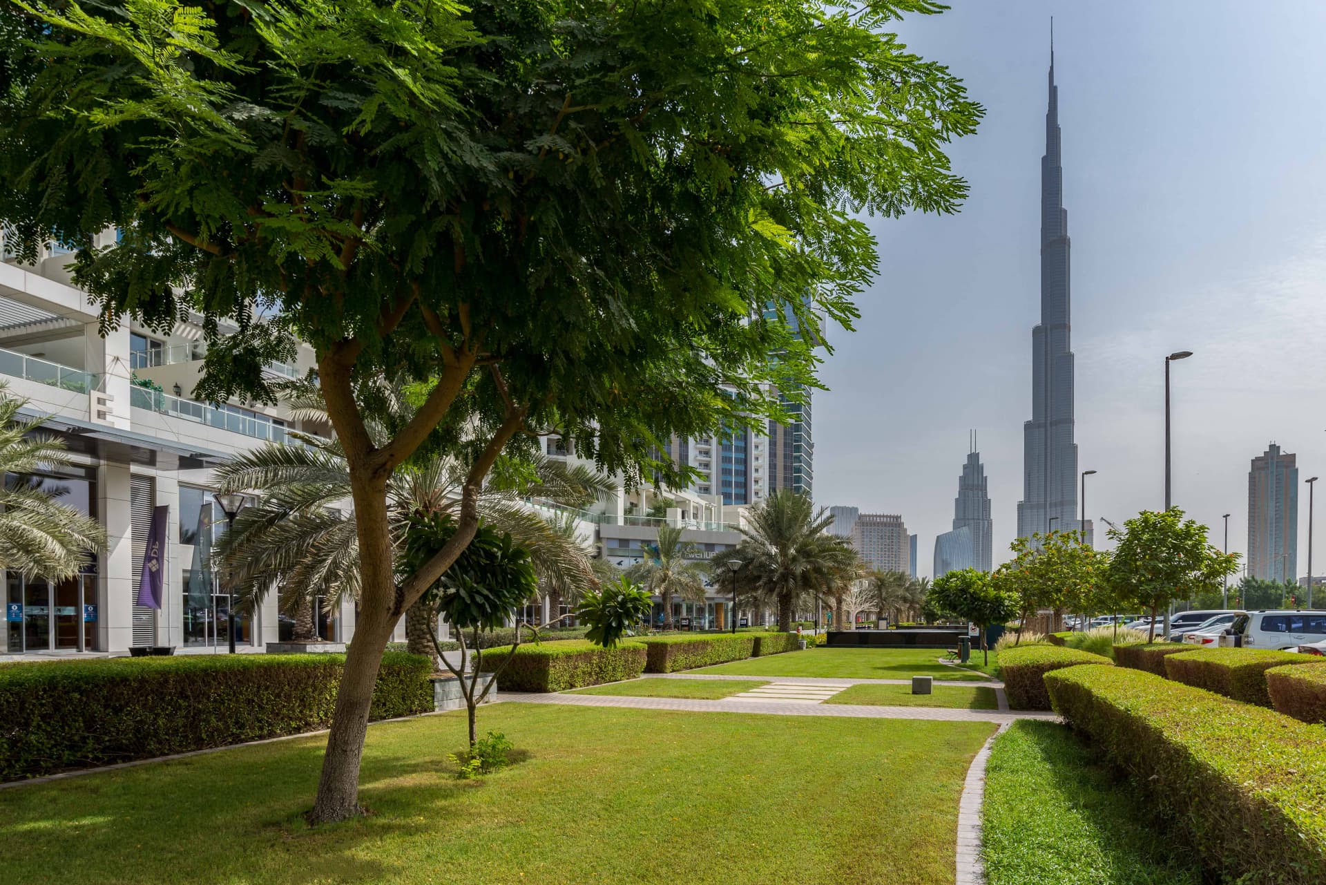 Reasons To Invest in Dubai