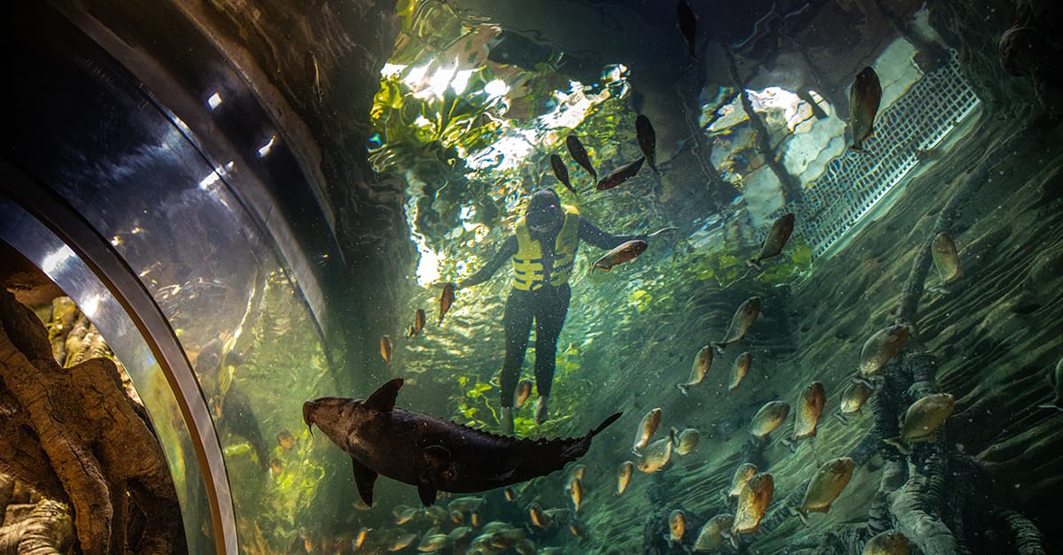 places to celebrate halloween party in dubai