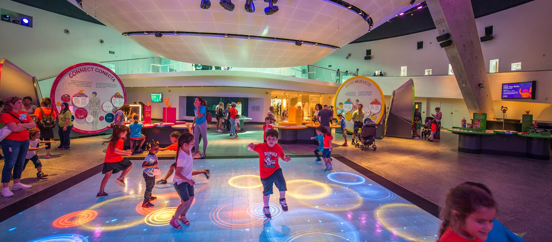 8 Best Things to do in Miami with Kids - 29 October 2024 - 8