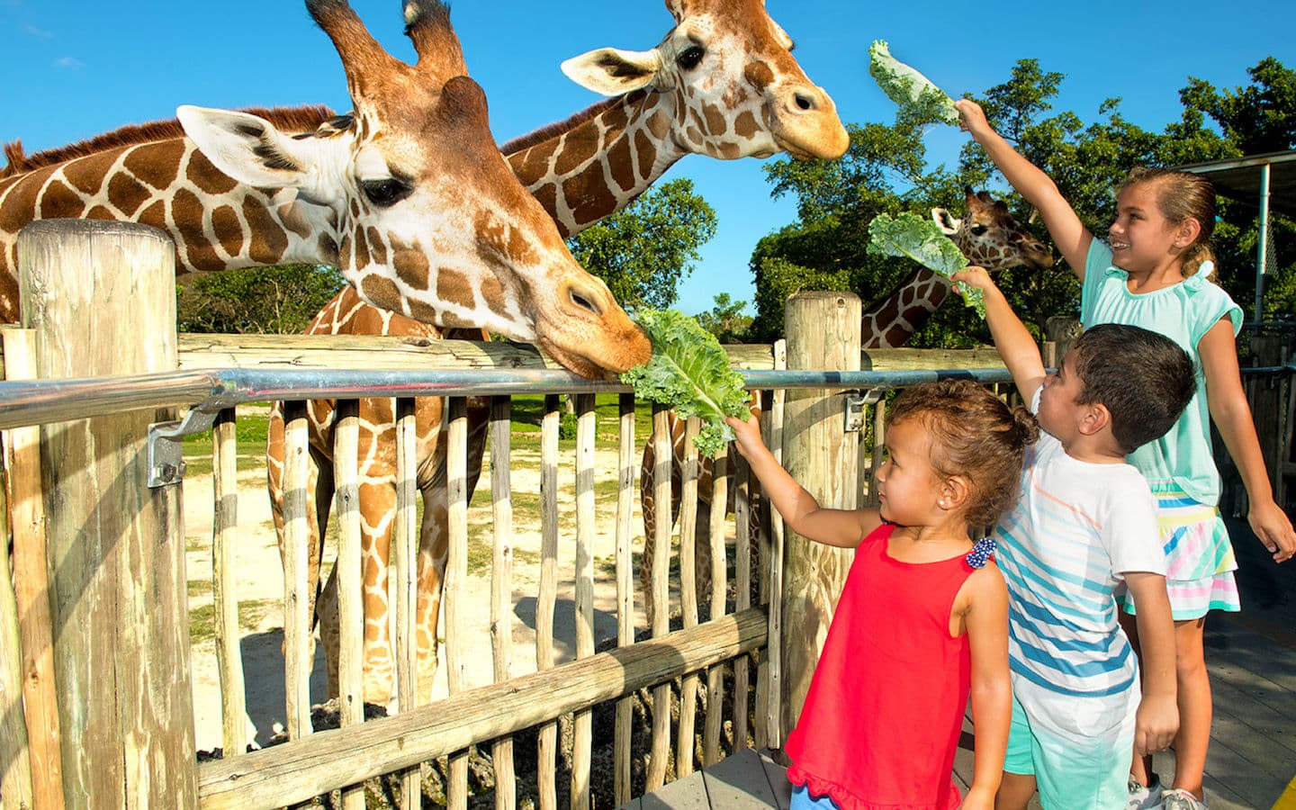 8 Best Things to do in Miami with Kids - 29 October 2024 - 2