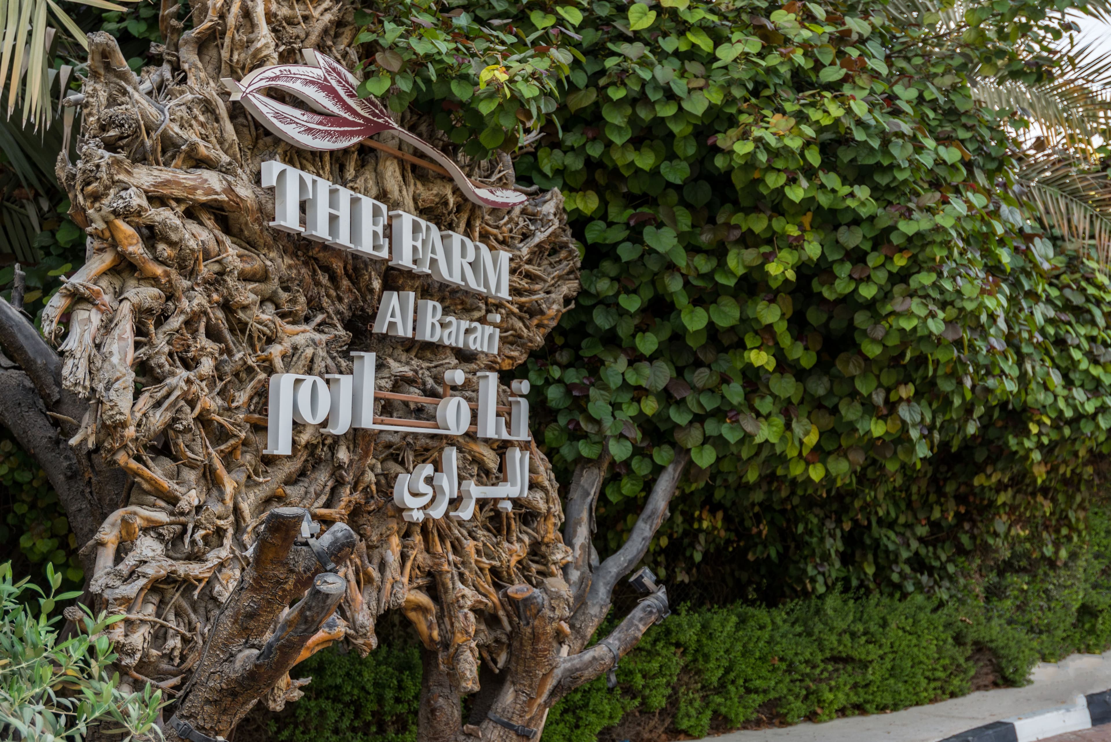 A Guide to the Best Leisure Options in Al Barari - 29 October 2024 - 6