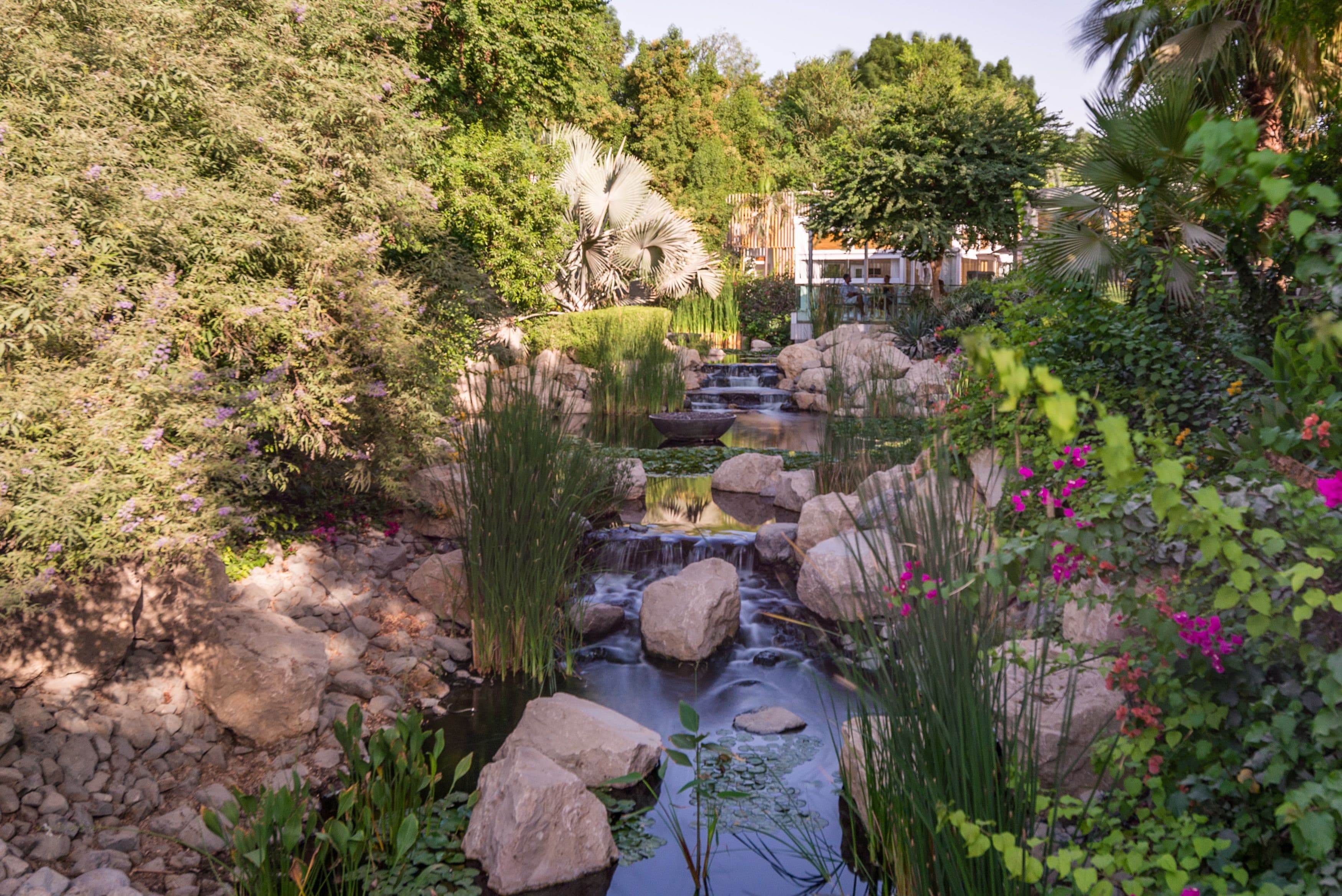 A Guide to the Best Leisure Options in Al Barari - 29 October 2024 - 14