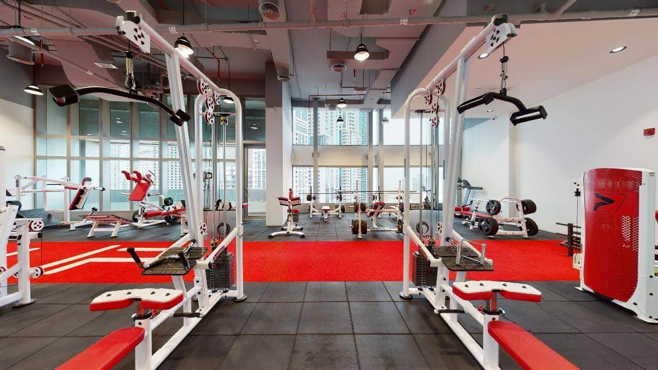 Best Gyms In Dubai Marina For Fitness Enthusiasts