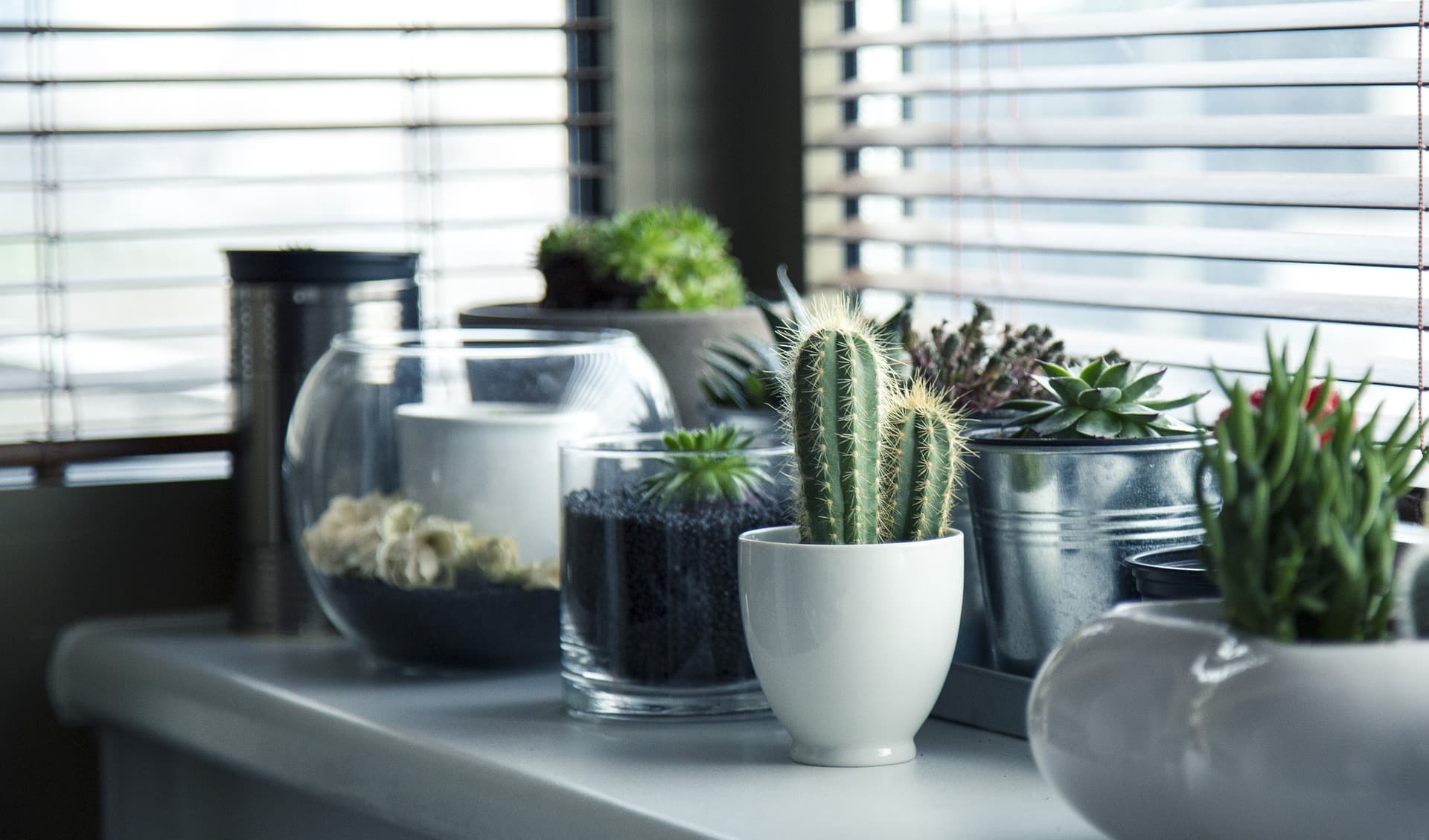Indoor Garden Ideas - How to Make your Own Indoor Garden