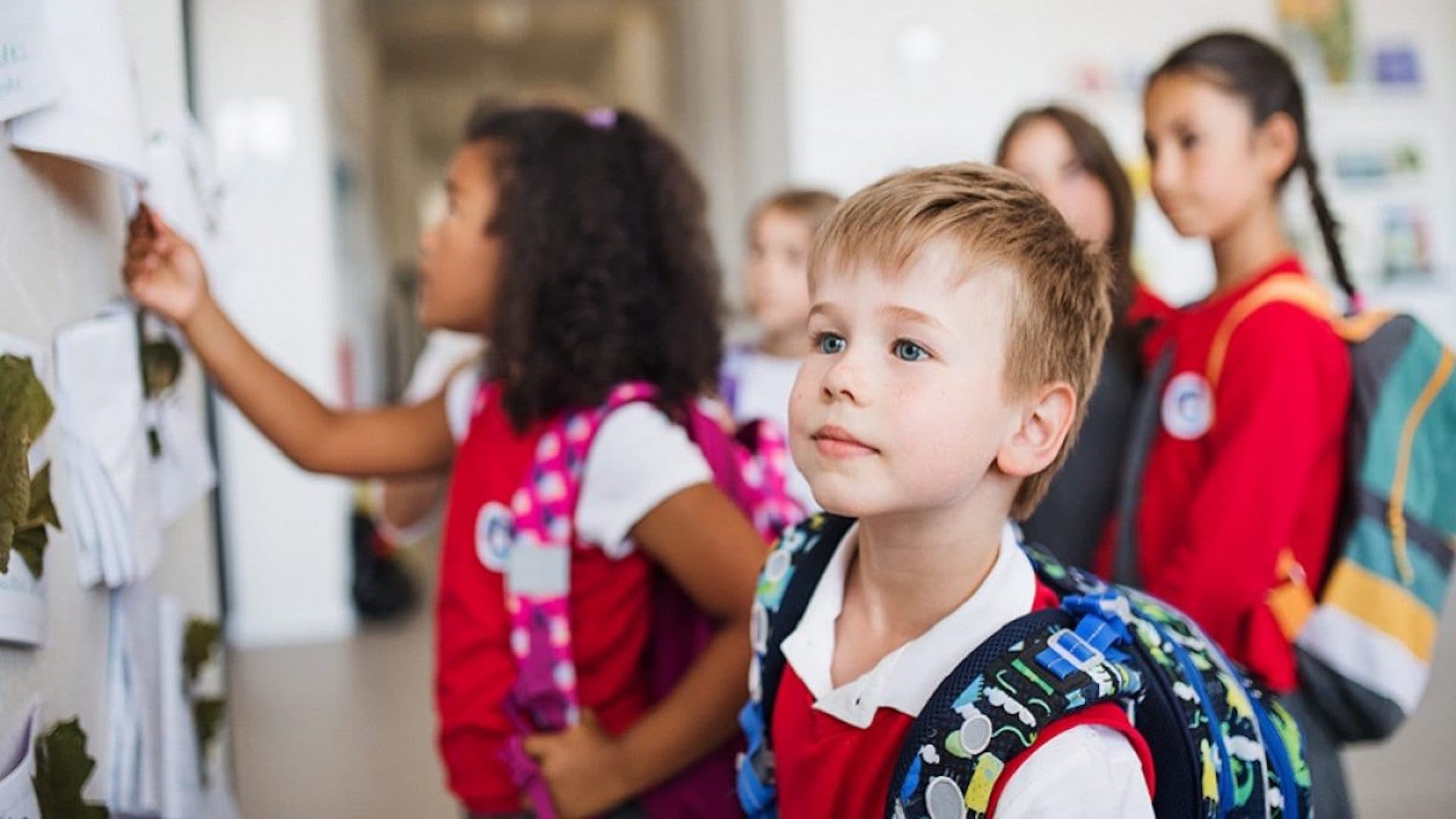 Back to School: A Look at the Upcoming New Term in Dubai