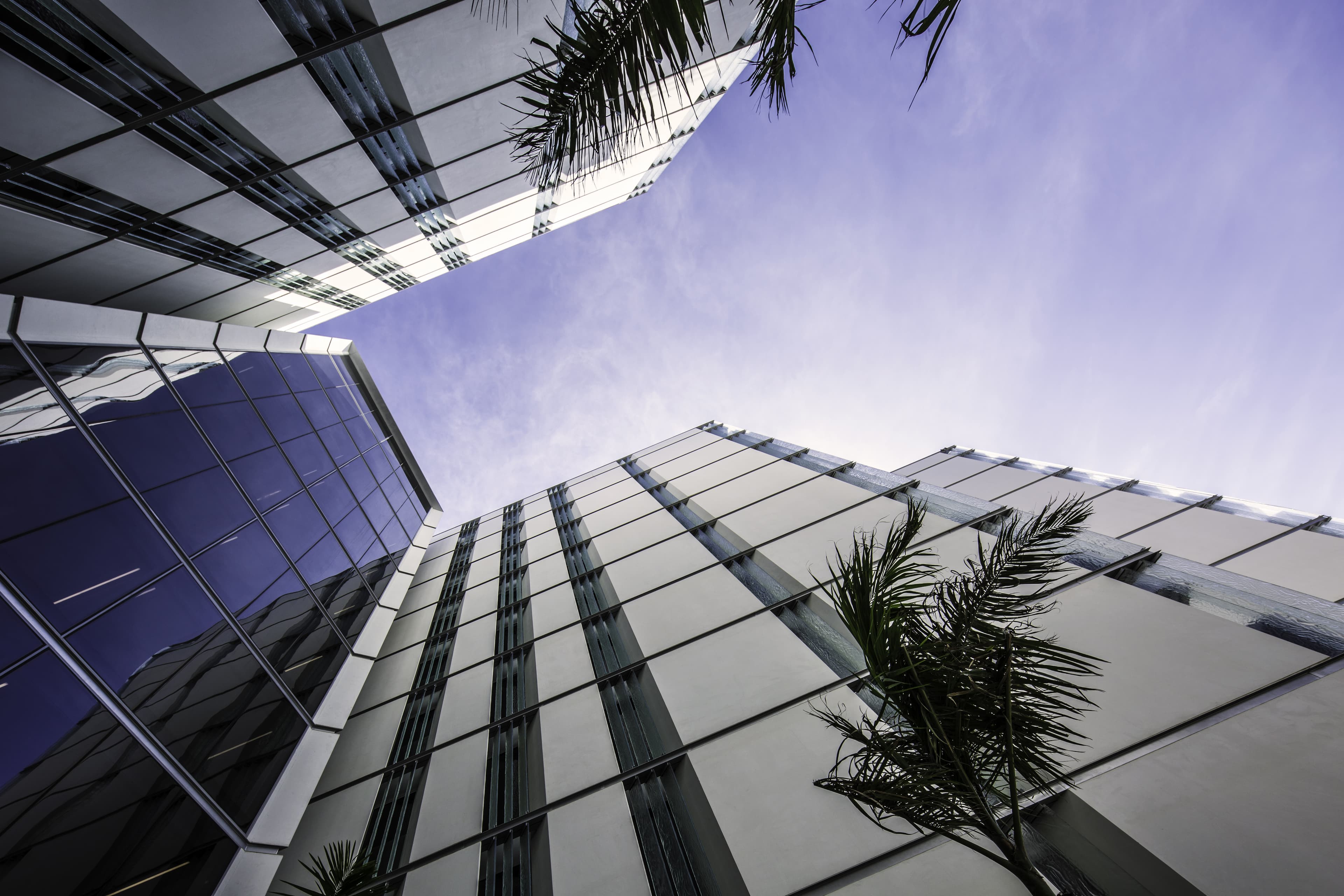 The Crescent Palm Jumeirah - Apartment Guide