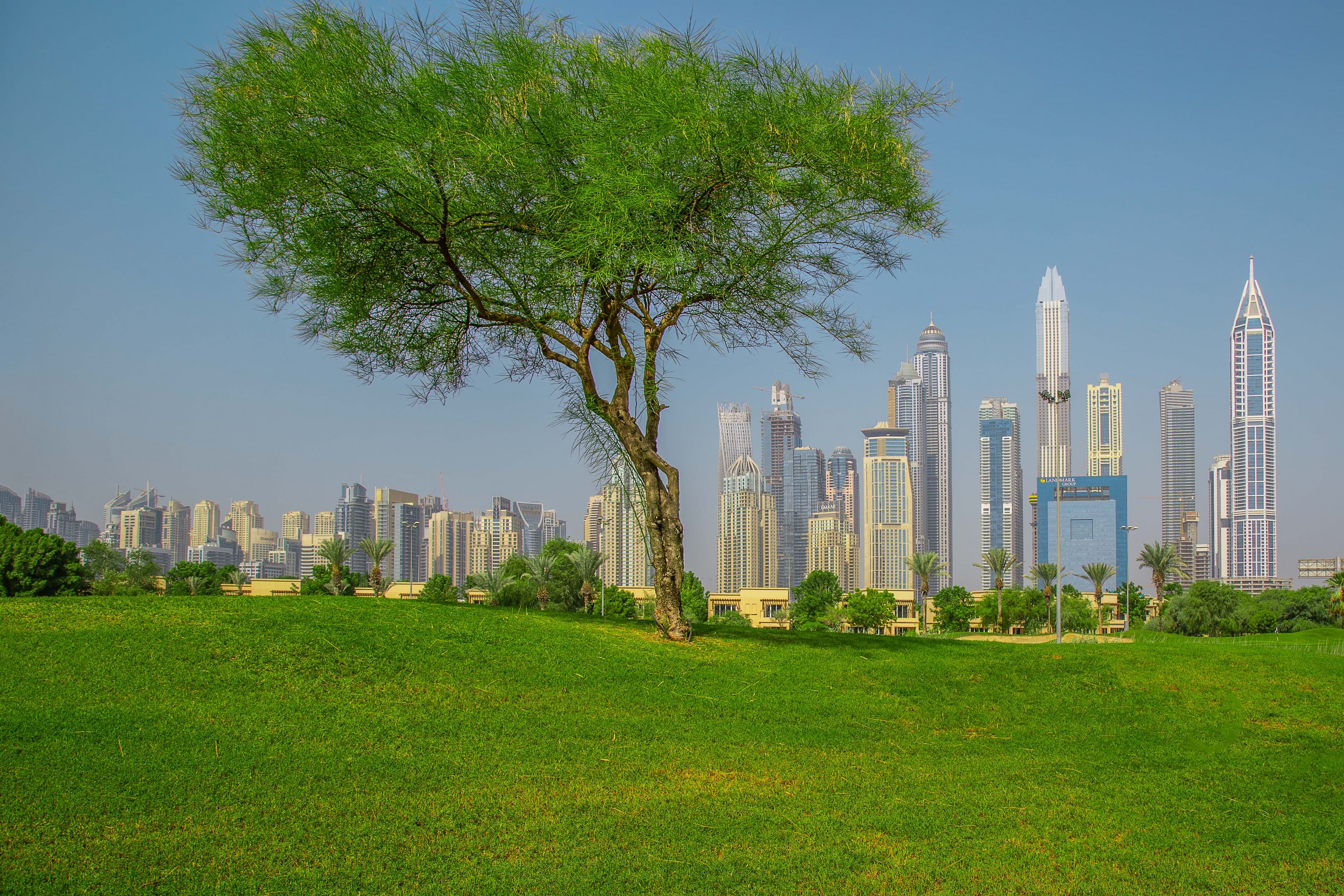 Here's What You Need to Know About the Green Visa UAE