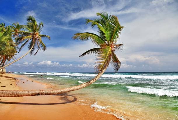 Investment Opportunity: Exclusive Beachfront Hotel for Sale in Sri Lanka