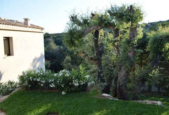 5 Bedroom Villa For Sale Saint Tropez Lp01350 1da2dd7f6913d40.jpg